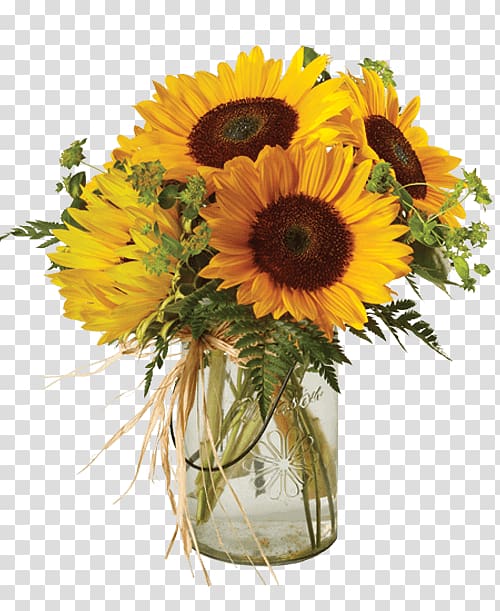 Common sunflower Floral design Cut flowers Transvaal daisy, flower transparent background PNG clipart