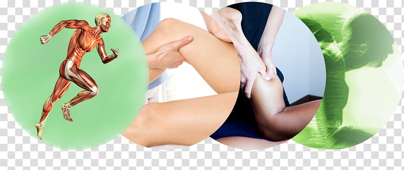 Massage By Cheryl Ann Physical therapy Adhesive capsulitis of shoulder, others transparent background PNG clipart