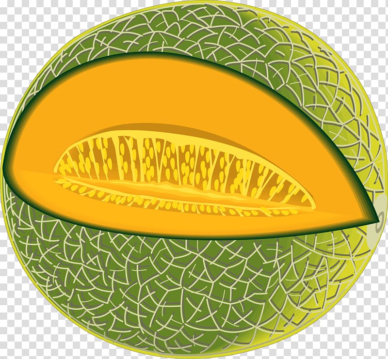 Cantaloupe Honeydew Korean melon , hand-drawn melon transparent background PNG clipart