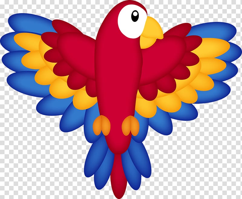 Macaw , Pirate Parrot transparent background PNG clipart
