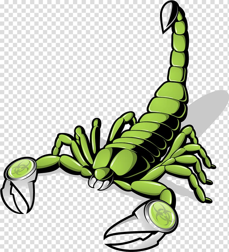 green scorpion illustration, Scorpion Euclidean , Scorpions transparent background PNG clipart