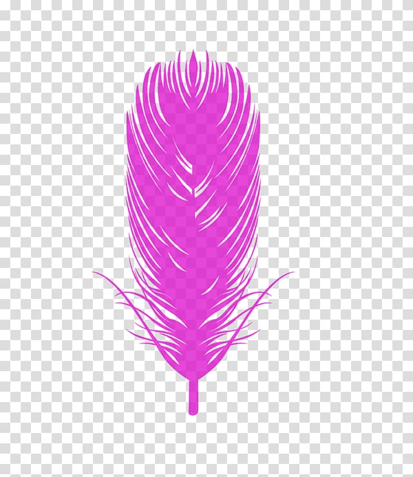 Bird Eagle feather law Euclidean , Colored feathers transparent background PNG clipart