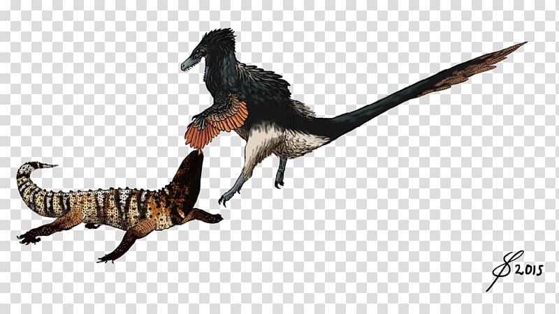 Velociraptor Acheroraptor Saurian Tyrannosaurus Dakotaraptor, lizard transparent background PNG clipart