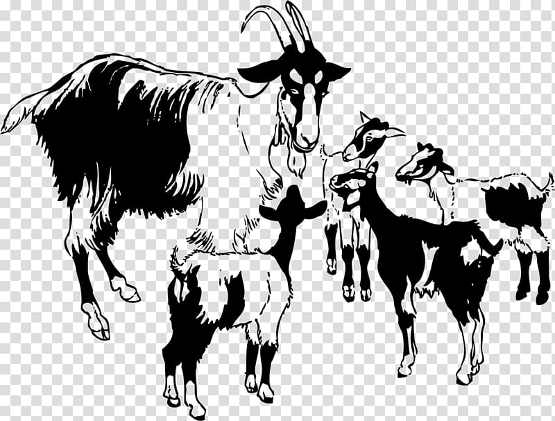 Boer goat Pygmy goat Goat meat , goat transparent background PNG clipart