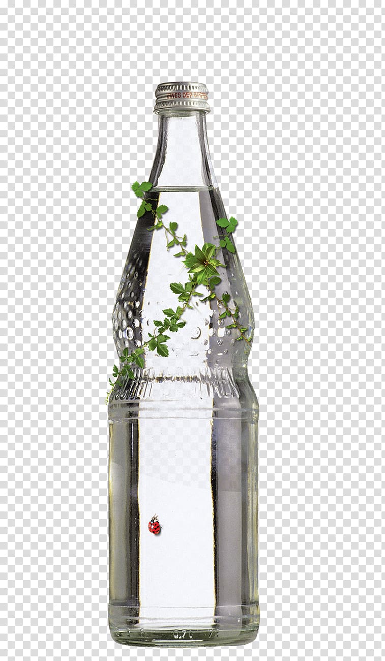 Advertising Poster Graphic design Flyer, Green leaves and ladybug on a bottle transparent background PNG clipart