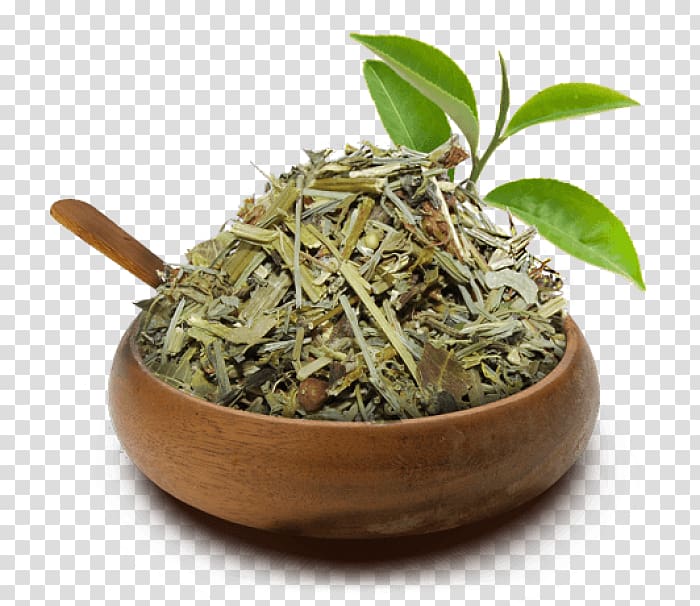 Hibiscus tea Hōjicha Green tea Equisetum, cha cha transparent background PNG clipart