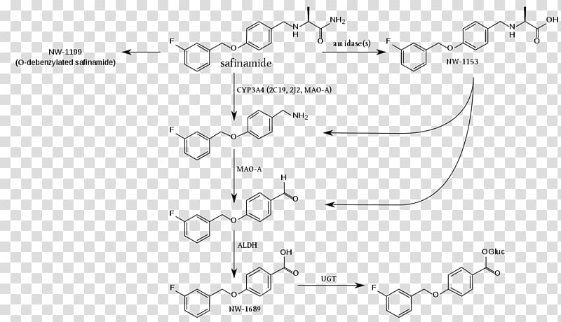 Fenbufen Metabolite Safinamide Coenzyme A Metabolism, others transparent background PNG clipart