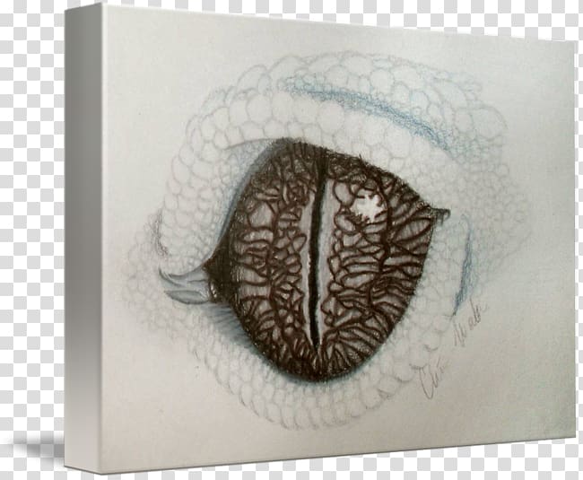 Common leopard gecko Gallery wrap Drawing Canvas, leopard transparent background PNG clipart