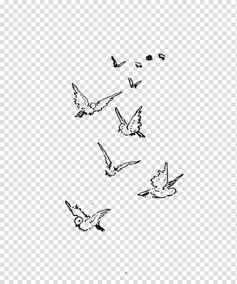 Bird Flight Sparrow Drawing Flock, flock of birds transparent background PNG clipart