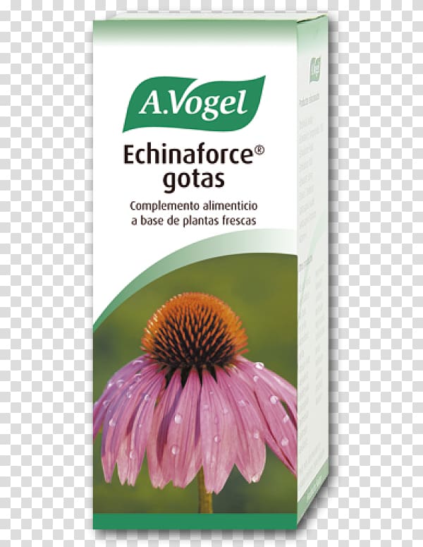 A.Vogel Echinaforce Hot Drink 100Ml Coneflower Common cold Health, 1 milliliter dropper transparent background PNG clipart
