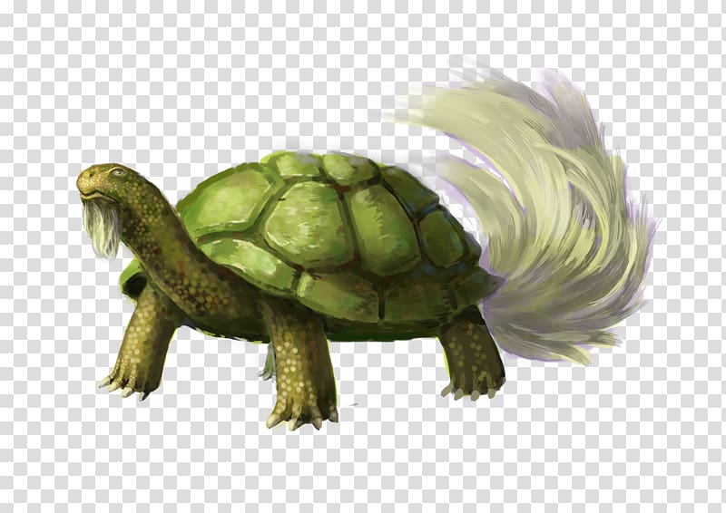 Common snapping turtle Snapping Turtles Tortoise, anime turtle transparent background PNG clipart