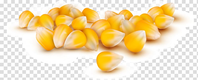 Modified: GMOs and the Threat to Our Food, Our Land, Our Future Corn kernel Maize Popcorn, painted corn kernels transparent background PNG clipart