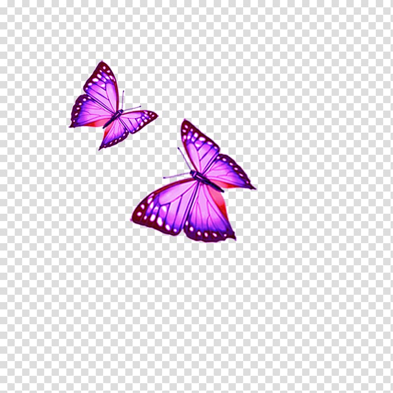 Cartoon , butterfly transparent background PNG clipart | HiClipart