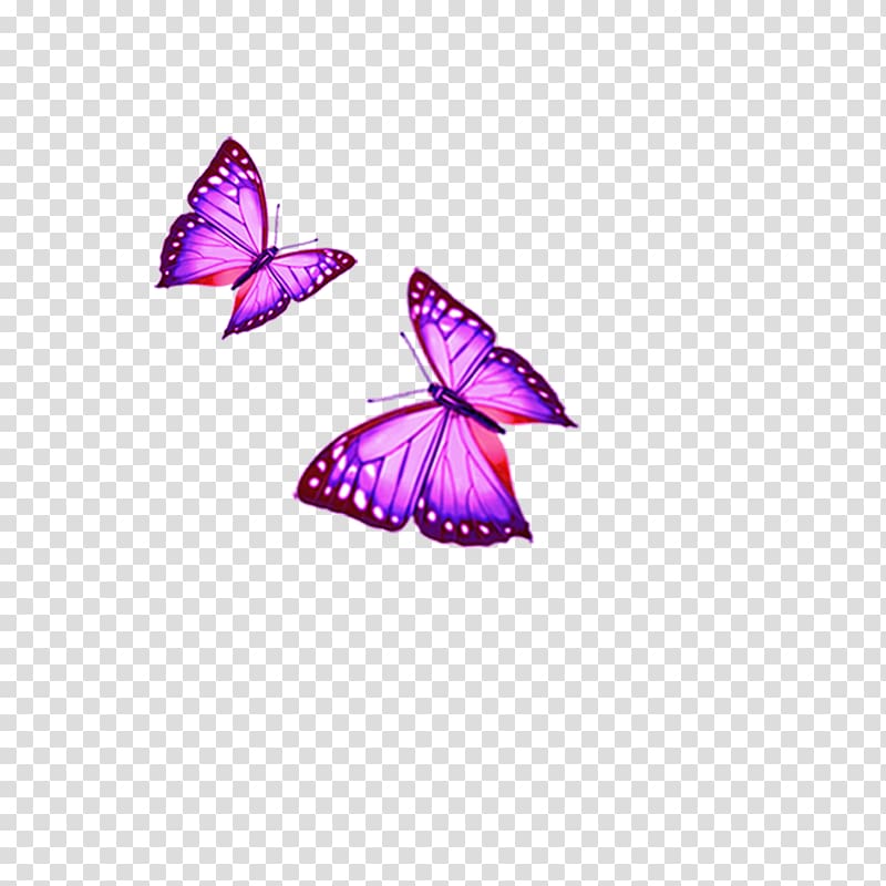 Cartoon , butterfly transparent background PNG clipart