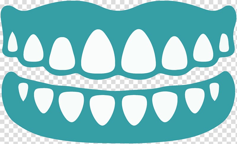 Dentistry Dentures Dental implant Oral hygiene, dental floss transparent background PNG clipart