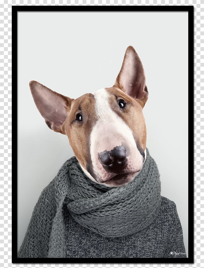 Miniature Bull Terrier Bull and Terrier English White Terrier Dog breed, bull terrier transparent background PNG clipart
