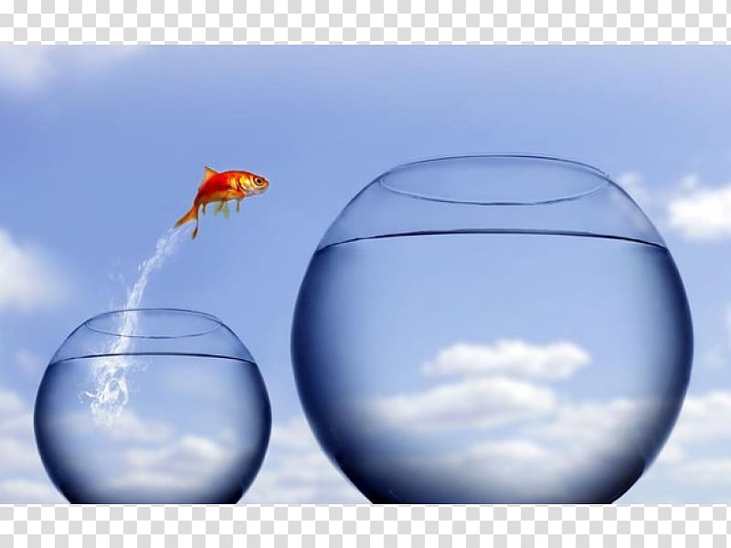 Leap of faith Author Jumping , others transparent background PNG clipart