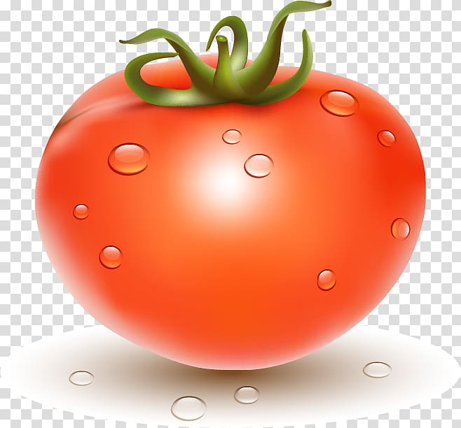 Plum tomato Tomato juice Cherry tomato Bush tomato, tomato transparent background PNG clipart