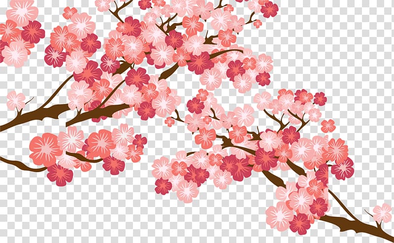 pink flowered tree illustration, Cherry blossom Cerasus, Pink cherry blossoms transparent background PNG clipart