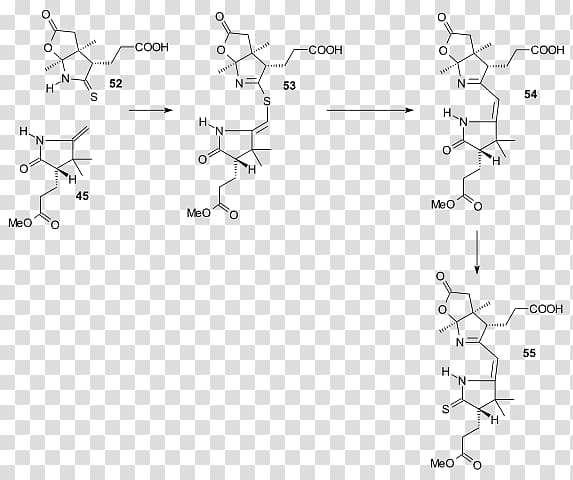 Vitamin B12 total synthesis Vitamin B-12 Cyanocobalamin, Vitamin b12 transparent background PNG clipart