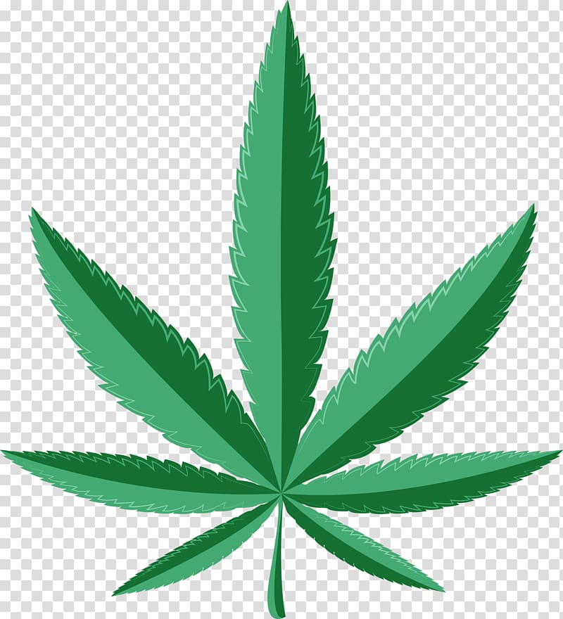Medical cannabis Dispensary Cannabis shop Medicine, marijuana leaf border transparent background PNG clipart