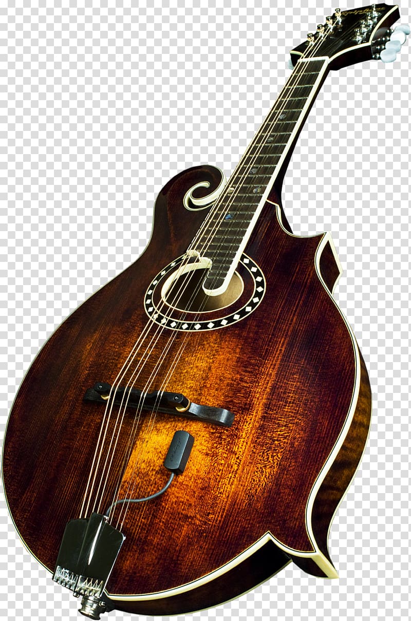 Bass guitar Acoustic guitar Mandolin Tiple Acoustic-electric guitar, Bass Guitar transparent background PNG clipart