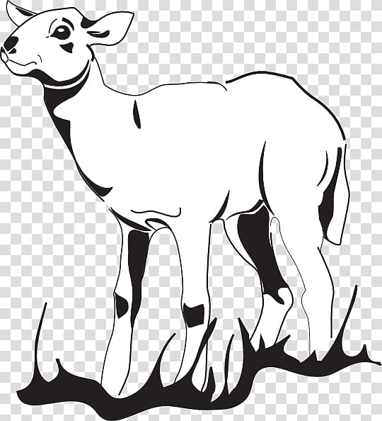 Sheep Agneau Goat Lamb and mutton, cartoon grass transparent background PNG clipart