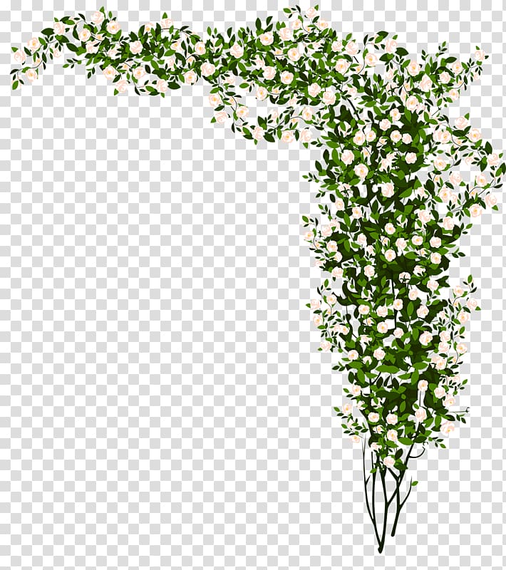Plant Flash Video Matroska, Flowers Plants transparent background PNG clipart