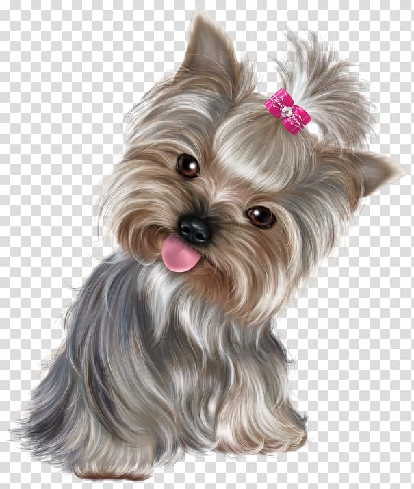 black and tan Yorkshire terrier puppy illustration, Happiness Monday Wish Morning, cute dog transparent background PNG clipart
