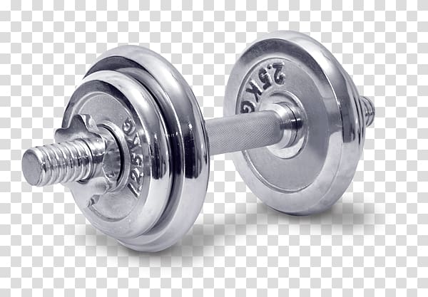 Dumbbell Weight training Physical fitness Exercise equipment Personal trainer, dumbbell transparent background PNG clipart