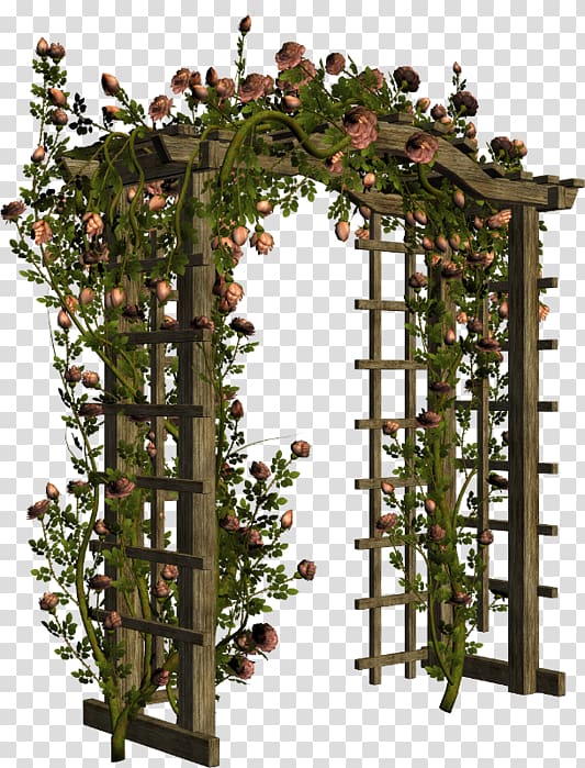 Pergola Flower garden Arch Gate, gate transparent background PNG clipart
