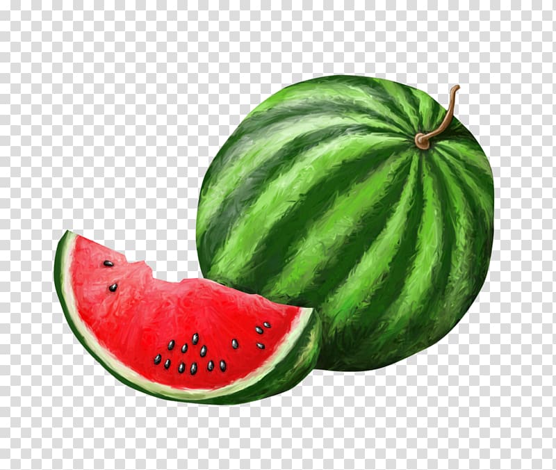 Watermelon Seedless fruit Food Vegetable, watermelon transparent background PNG clipart