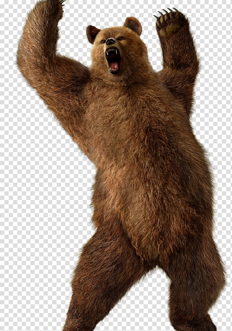 Brown bear Street Fighter X Tekken Grizzly bear Kuma and Panda, chicago bears transparent background PNG clipart