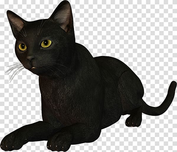 Black cat Bombay cat Burmese cat Korat Malayan cat, WATERCOLOUR CAT transparent background PNG clipart