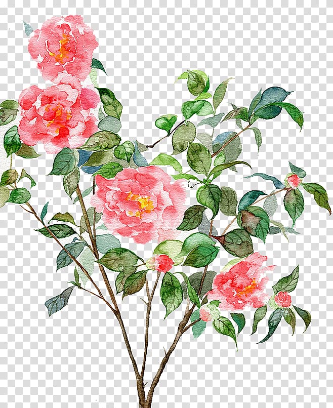 Watercolor painting Computer graphics Illustration, Watercolor flowers transparent background PNG clipart