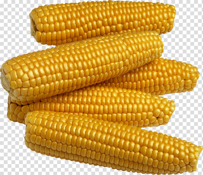 Maize Corn on the cob Corn kernel Sweet corn Food, Yellow corn transparent background PNG clipart