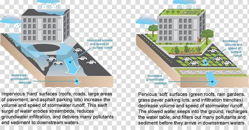 Green infrastructure Impervious surface Urban runoff Stormwater, rain garden transparent background PNG clipart