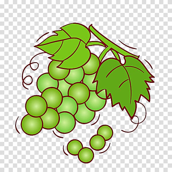 Grape Wine Shine Muscat Fruit Illustration, Crystal grapes transparent background PNG clipart