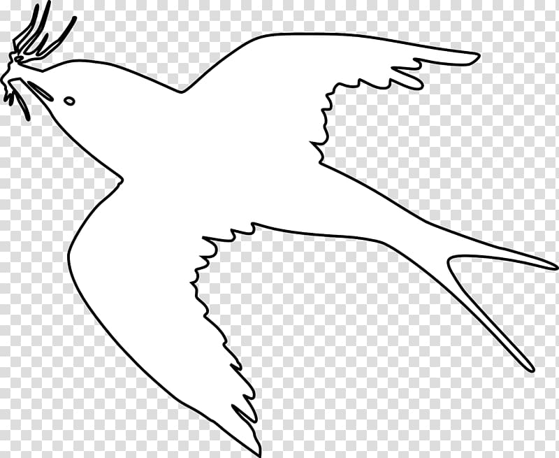 Black and white Edible bird\'s nest Beak Swift, Bird transparent background PNG clipart