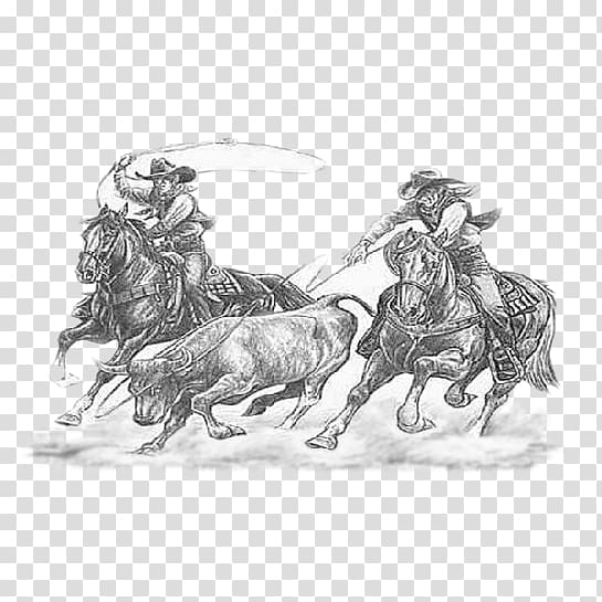 Cattle Calf roping Drawing Team roping Rodeo, RODEO transparent background PNG clipart