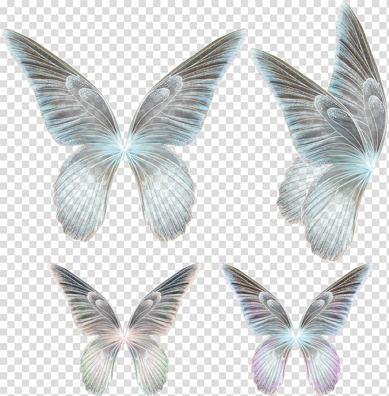 Butterfly Drawing Feather, butterfly transparent background PNG clipart