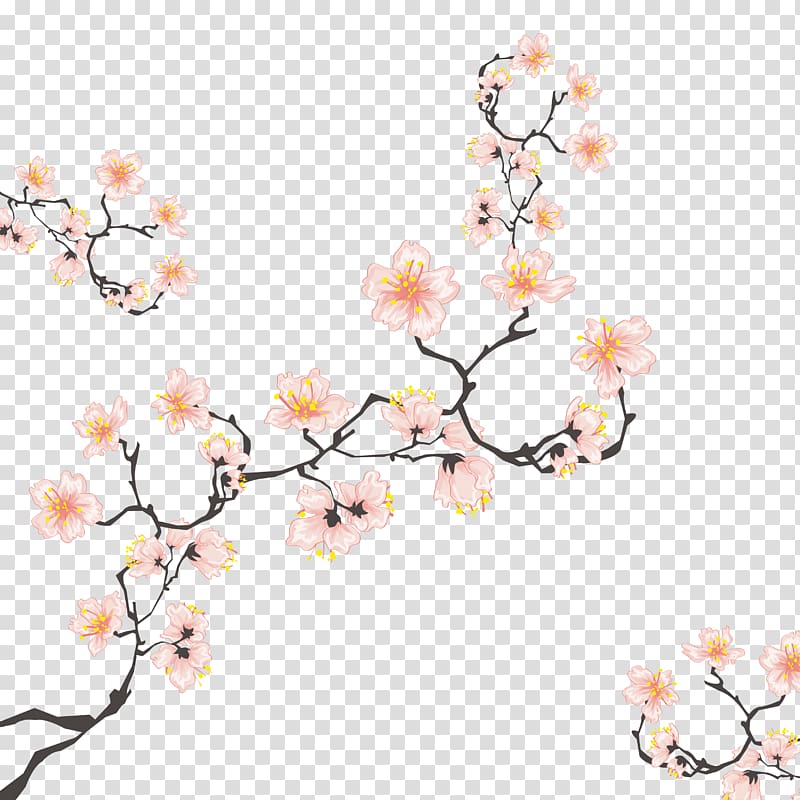 white flowering cherry blossom tree , Cherry blossom Computer file, Cherry blossoms transparent background PNG clipart