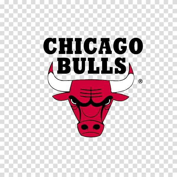 Chicago Bulls NBA Cleveland Cavaliers Golden State Warriors Basketball, Basketball team icon transparent background PNG clipart