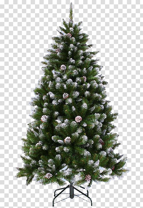 Christmas tree Spruce Pine Fir, pino transparent background PNG clipart