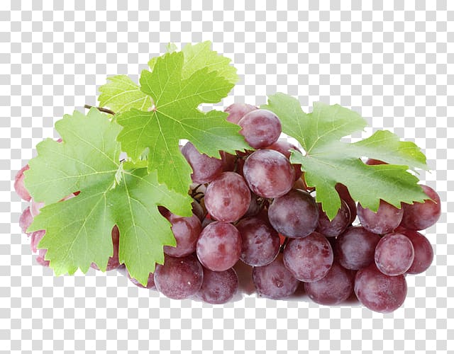 Sultana Grüner Veltliner Wine Grape Seedless fruit, achillea millefolium transparent background PNG clipart
