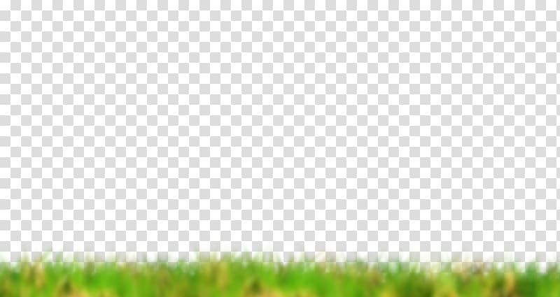 Crop Lawn Grassland Green Grasses, Computer transparent background PNG clipart