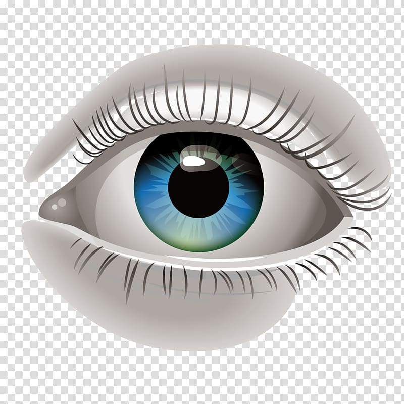 Human eye Euclidean , Sexy big eyes transparent background PNG clipart