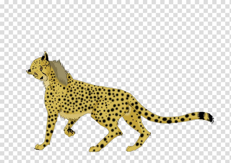 Cheetah Leopard Jungle cat, cheetah transparent background PNG clipart