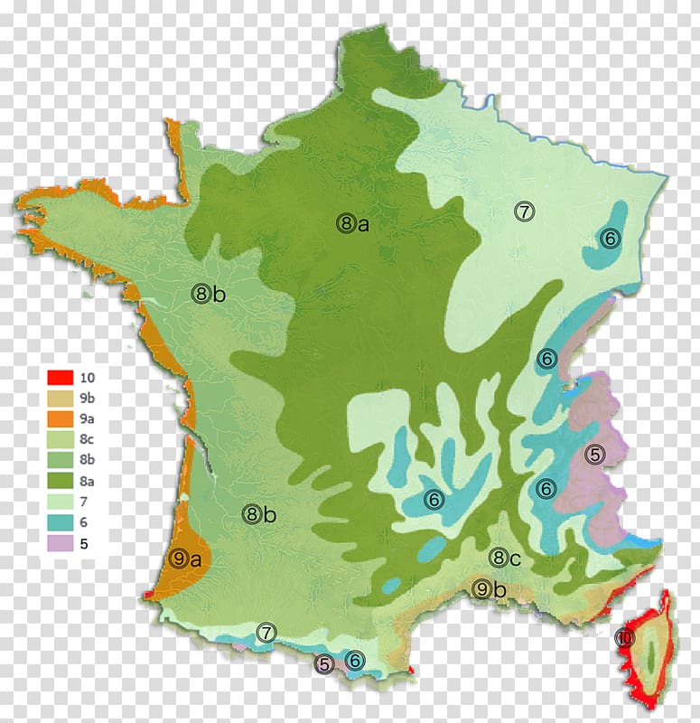 France French presidential election, 2017 Blank map French regional elections, 2015, france transparent background PNG clipart