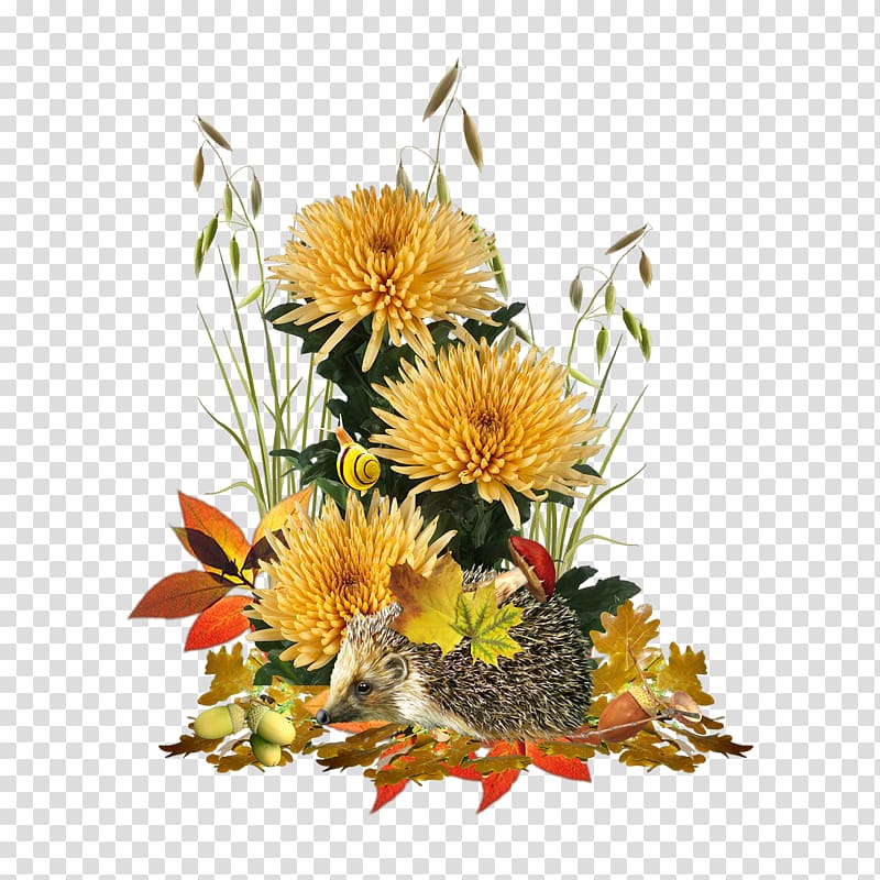 Floral design Flower bouquet Portable Network Graphics , flower transparent background PNG clipart